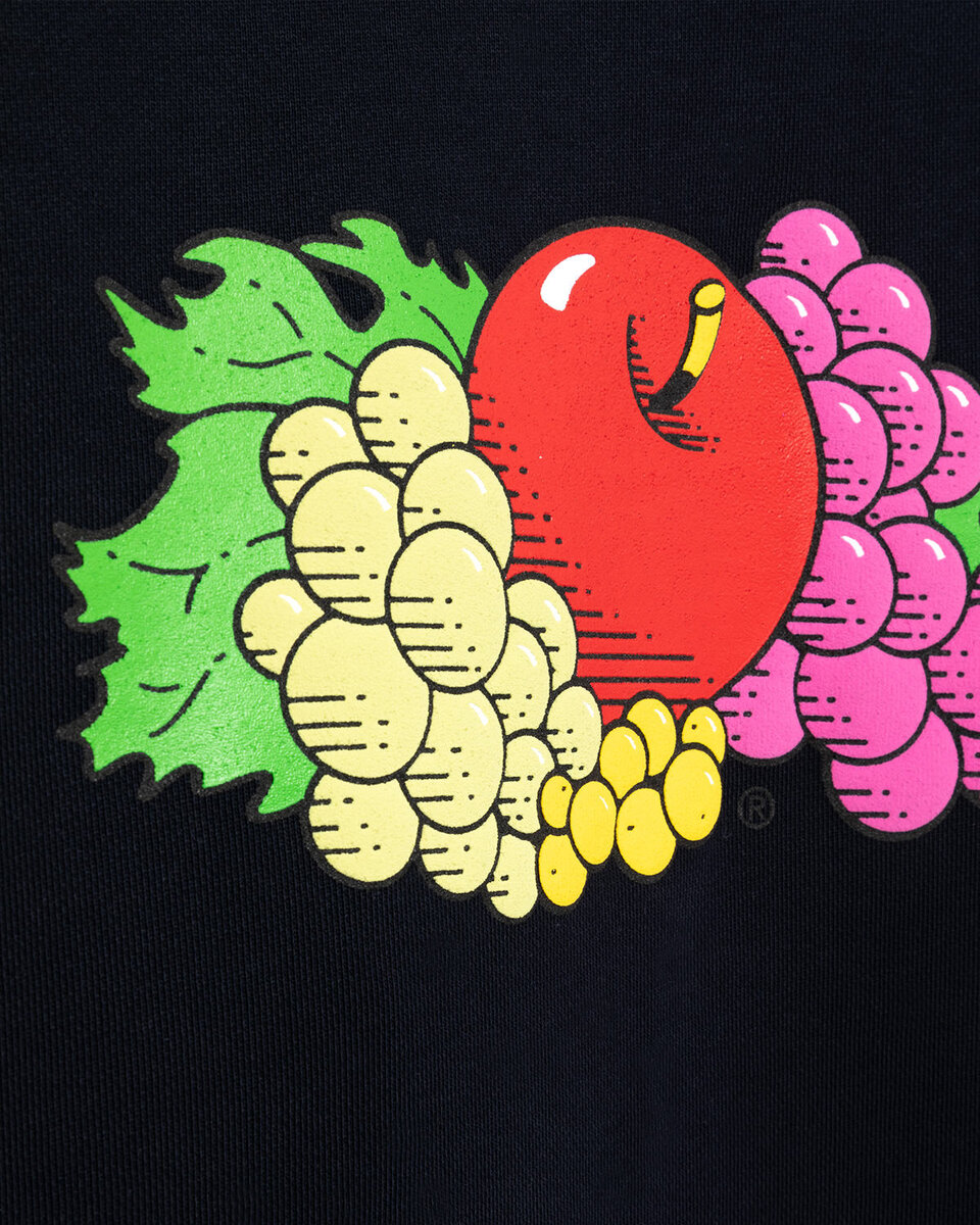 SWEATSHIRT FRUIT BLUE