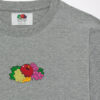 TİŞÖRT FRUIT GRİ